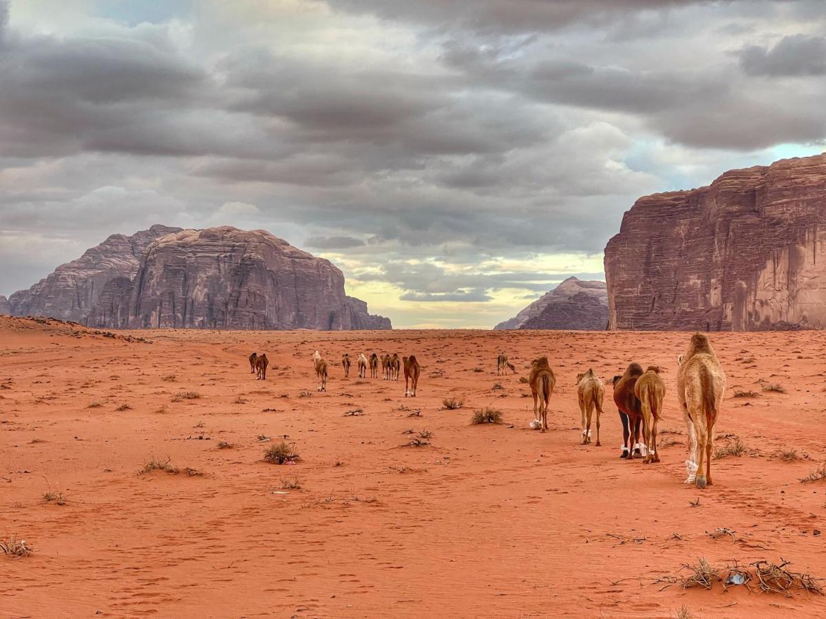 Wadi Rum Bedouin Tour With A Camp Luaran gambar