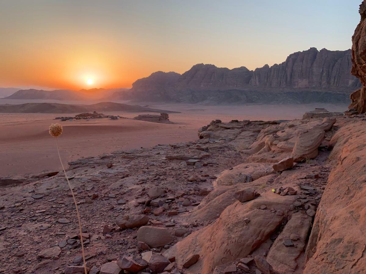 Wadi Rum Bedouin Tour With A Camp Luaran gambar